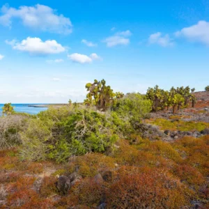 Full Day Isla Plazas – Punta Carrión