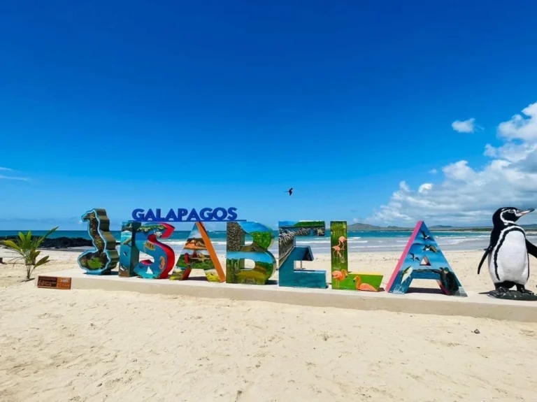 Full Day Isabela con Tintoreras – Laguna de Flamingos – Centro de Crianza