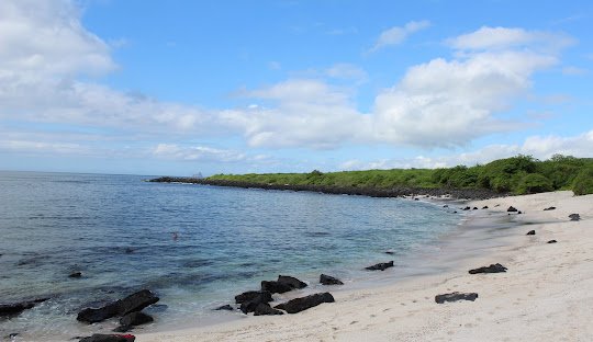 Full Day Isla Lobos – Playa Ochoa