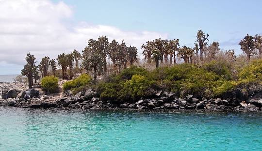 Isla Santa Fé – Acantilados – Playa Escondida