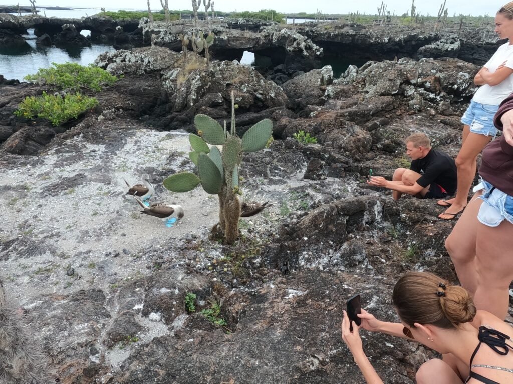 Islas Galapagos Tour operador DMC - WhatsApp Image 2026 09 01 at 17.18.54
