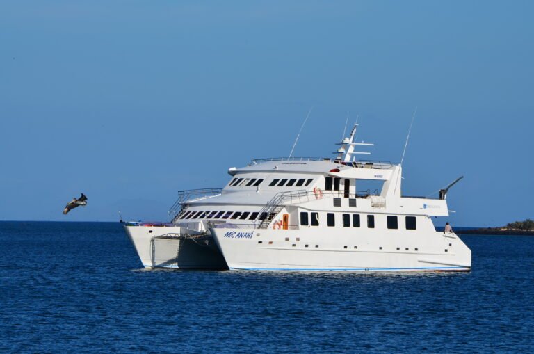 Crucero Anahi por islas Galápagos 4D/3N