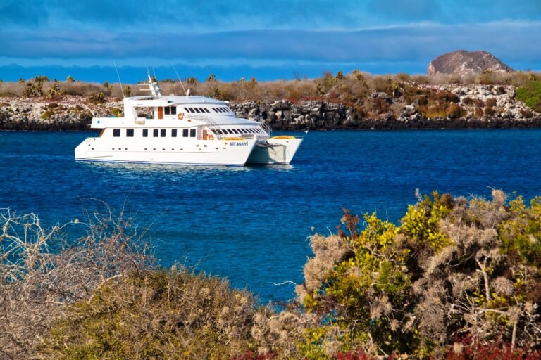 Crucero 11 días por islas Galápagos ANAHI